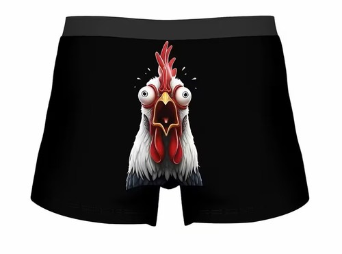 Novelty fun mens boxer - fun,