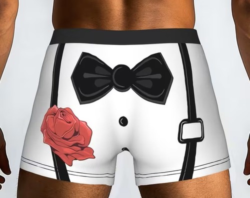 Novelty fun mens boxer - fun,